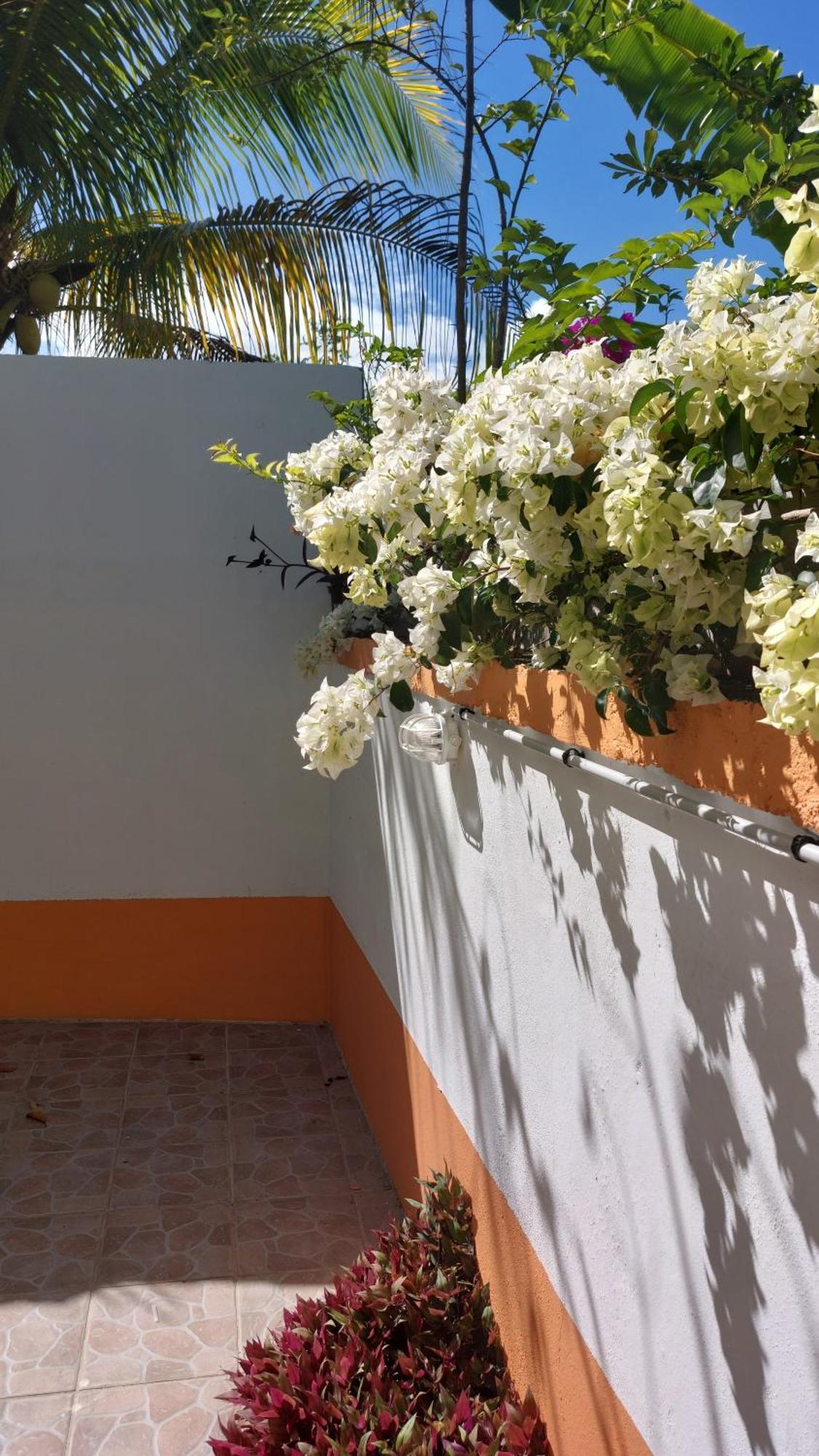 Calme Villa Sainte-Rose Luaran gambar